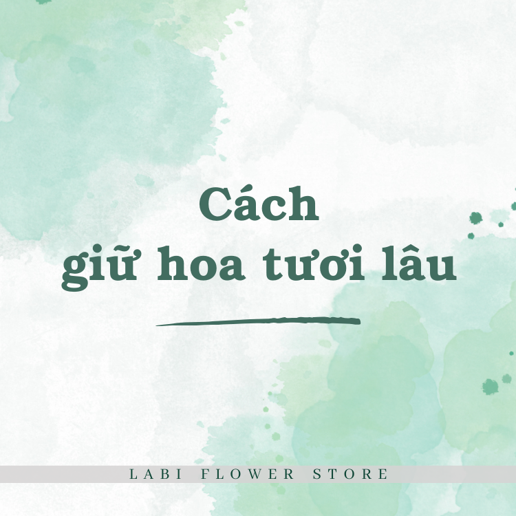 Cách Giữ Hoa Tươi Lâu